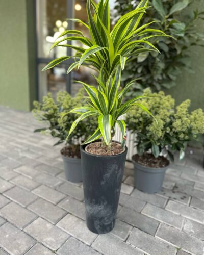 Горщик Бетон (Простерпласт)