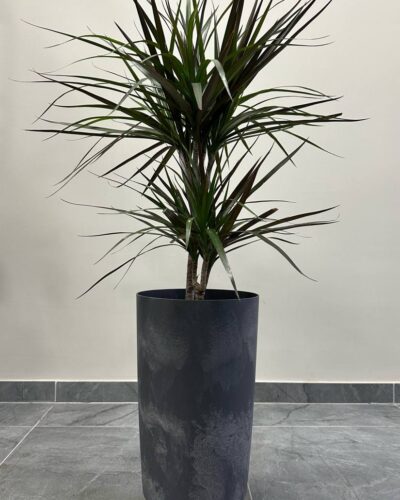 Горщик бетон