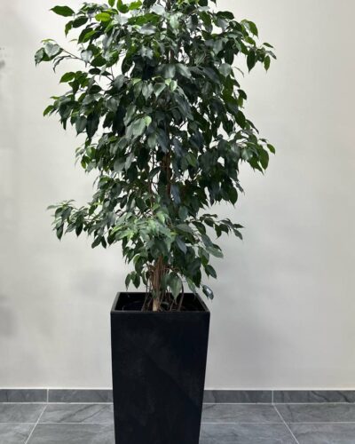 Горщик Бетон