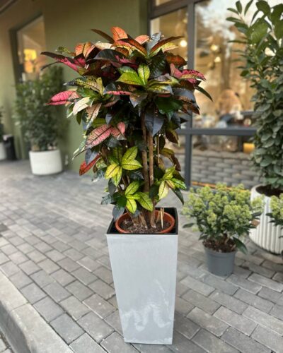 Горщик Бетон