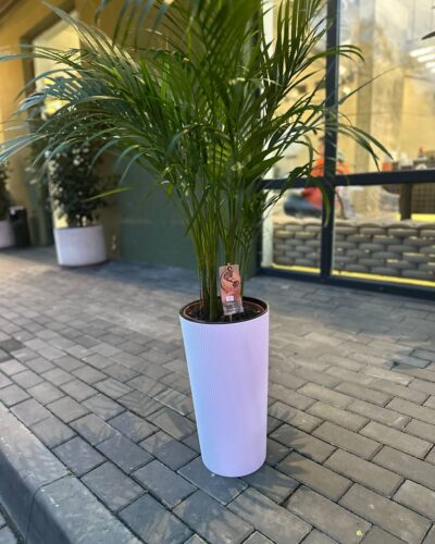 Горщик Лілія джемпер