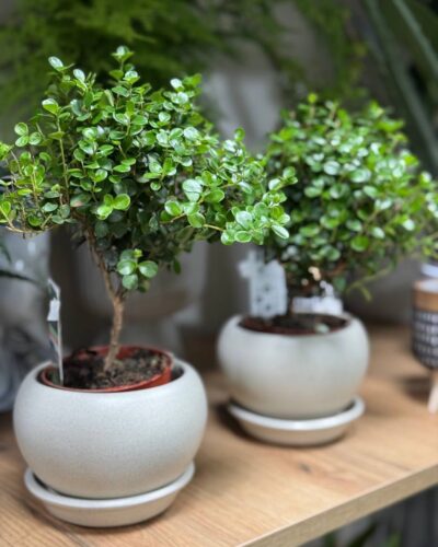 Горщик куля 0,4 л