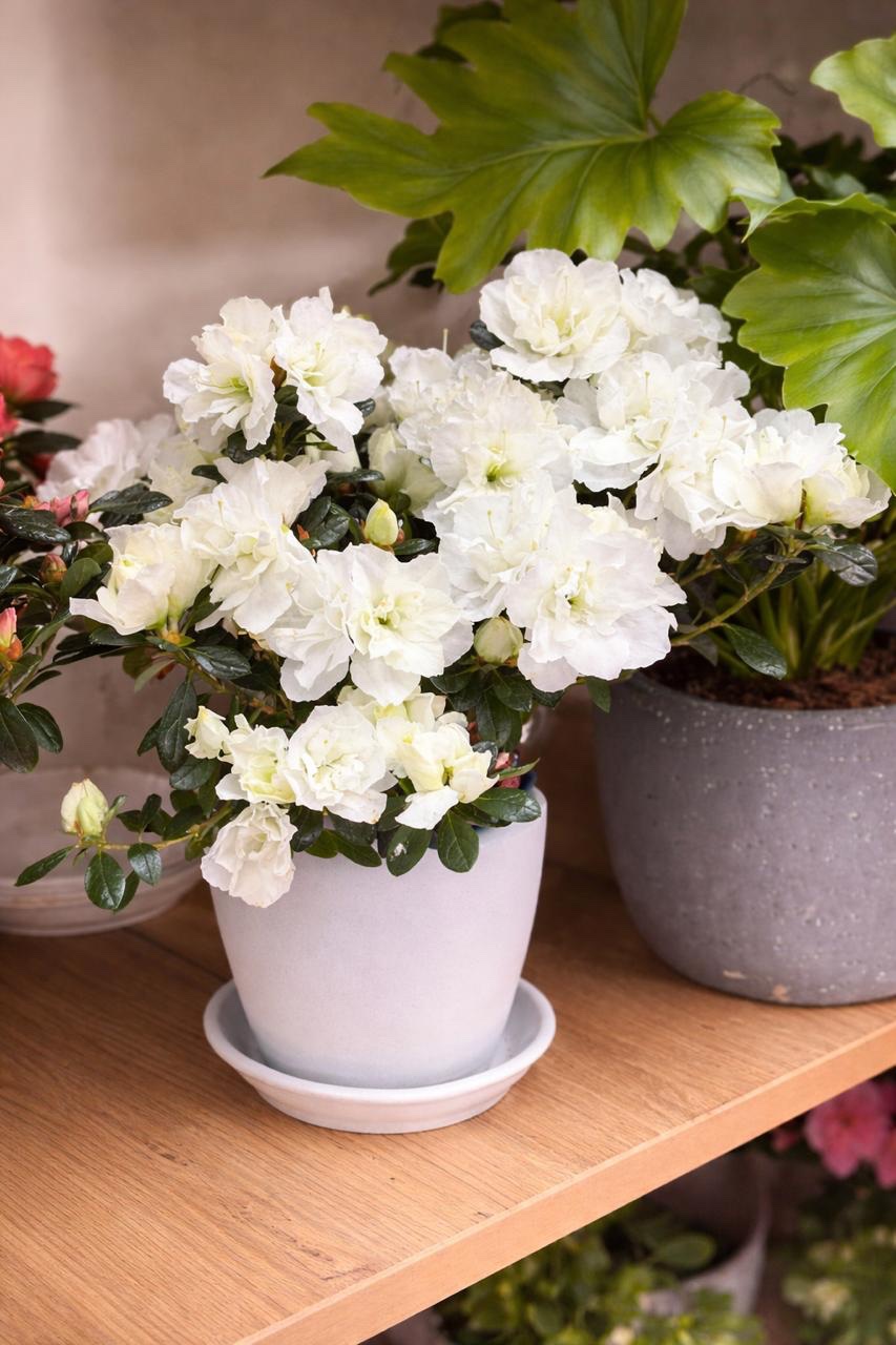 6d714d73-eb16-42f6-8076-f494624ea33c