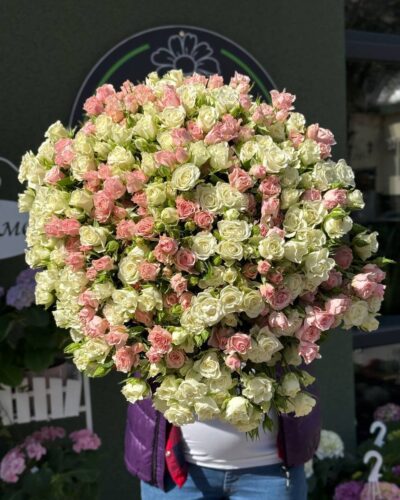 Кущова троянд