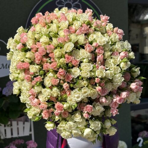 Кущова троянд