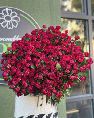 Кущова троянда Ред трансетер