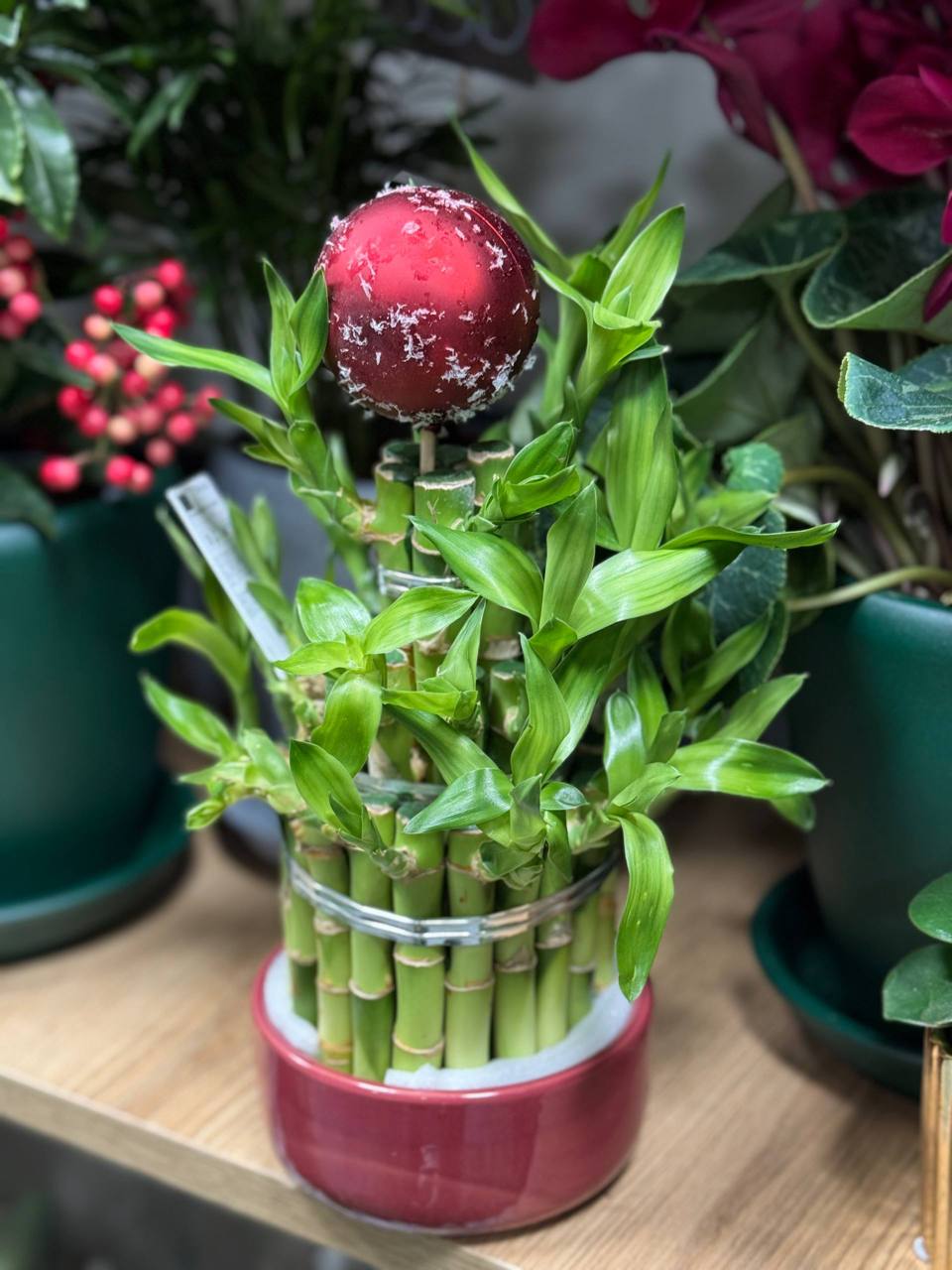 Бамбук в кераміці