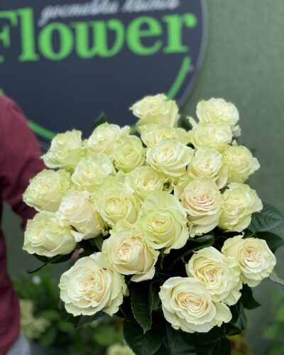 Троянда Мондіаль