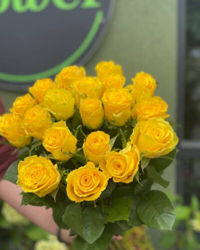 Троянда Гуд тайм