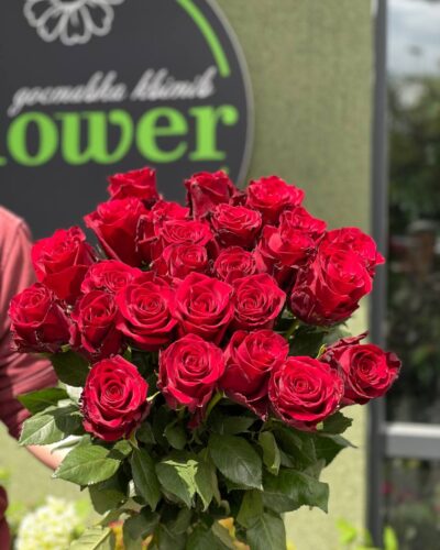 Троянда Експлоер