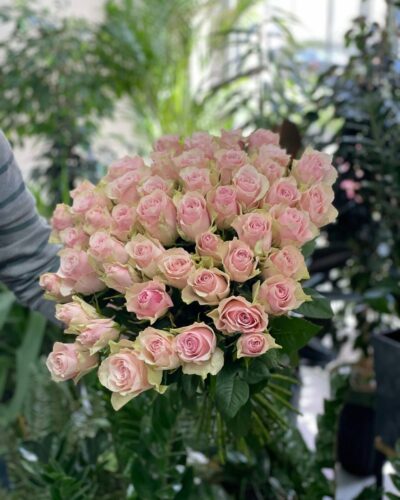 Троянда Пінк Атена