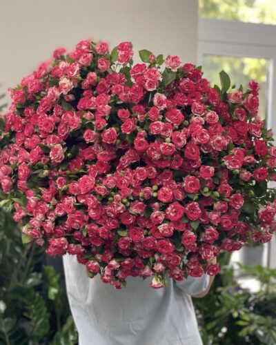 Кущова троянда Фаєр ворк