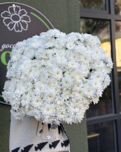 Хризантема