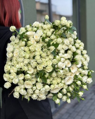 Кущова троянда Вайт Леді