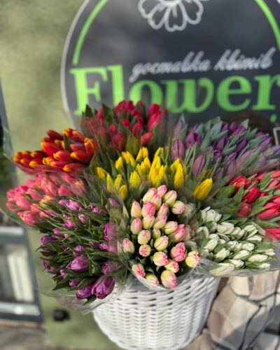 Тюльпани мікс