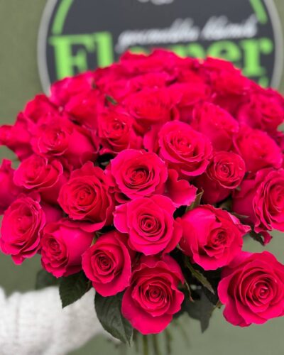 Троянда Гоча