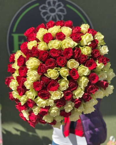 101 біло-червона троянда