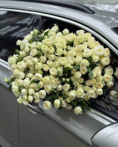 Кущова троянда