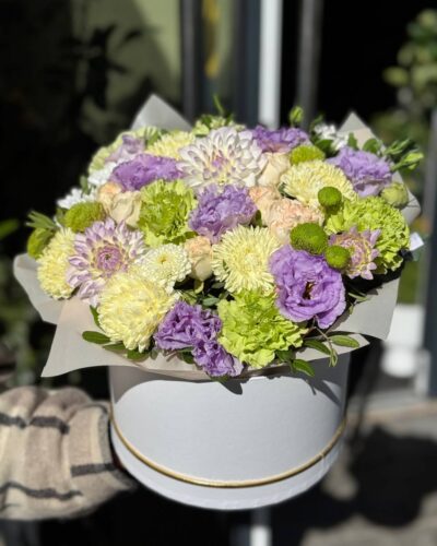 Композиції