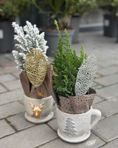 Кипарис в кераміці