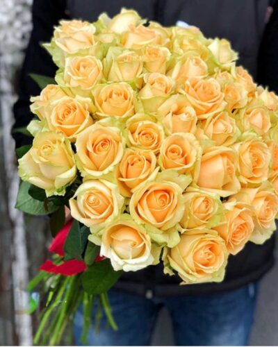 Троянда Піч аваланш