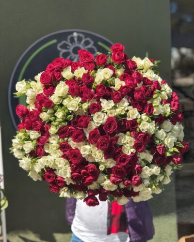 троянда кущова