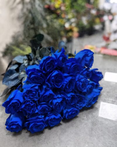 Сині троянда