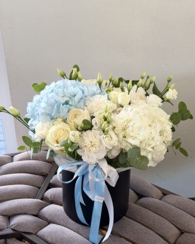 Головна 35 Коробка "Невагомість"