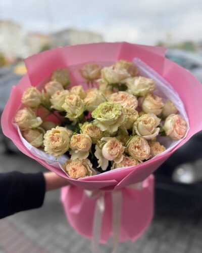 Зіронька моя