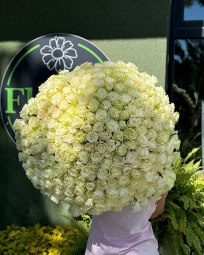 Букет 251 біла троянда