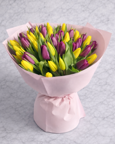 51 Тюльпан жовтий і фіолетовий