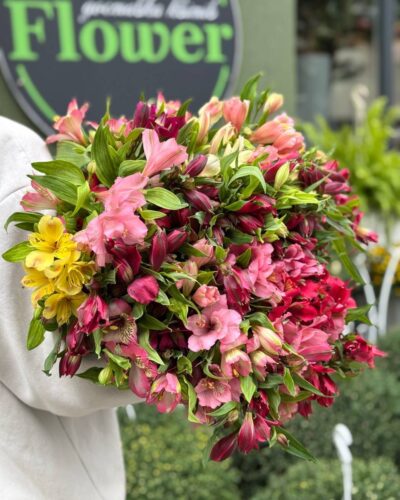 Альстромерія