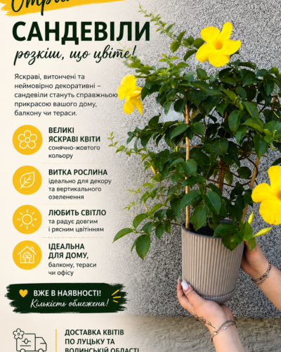 Сандивіла